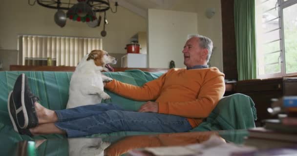 一个白人老人在客厅里悠闲自在地坐在沙发上与他的宠物狗玩耍 慢动作的侧视图 — 图库视频影像