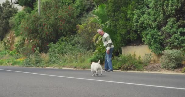 Vista Lateral Hombre Caucásico Mayor Paseando Perro Mascota Camino Tranquilo — Vídeos de Stock