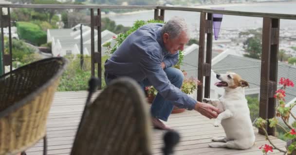 Yaşlı Beyaz Bir Adamın Evde Oturup Diz Çöküp Evcil Köpeğiyle — Stok video