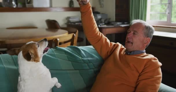 一个年长的白人男子在客厅里放松地坐在沙发上和他的宠物狗玩耍 让它乞讨他在空气中拿着的食物 慢动作 — 图库视频影像