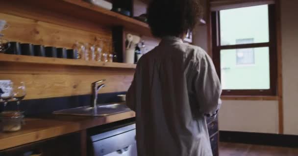 Front View Smiling Young Mixed Race Woman Afro Hair Her — 비디오