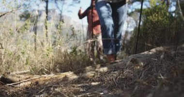 Low angle front view of legs of a senior Caucasian couple enjoying time in nature together, hiking in forest with Nordic walking sticks, slow motion