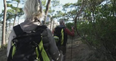 Rear view of a senior Caucasian couple enjoying time in nature together, hiking in forest with Nordic walking sticks, slow motion