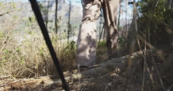 Niedrigwinkel Rückansicht Der Beine Eines Älteren Kaukasischen Paares Das Die — Stockvideo