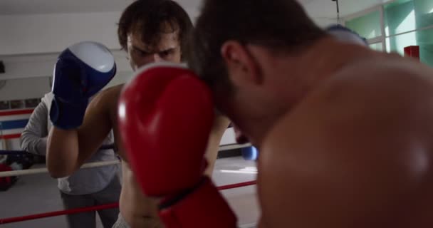 Vista Frontal Boxeador Misto Lutando Com Boxeador Masculino Caucasiano Enquanto — Vídeo de Stock