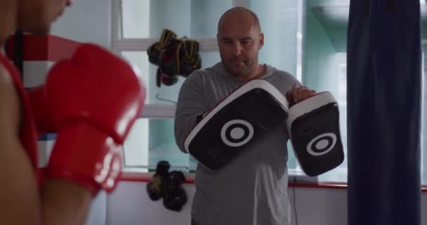 Widok Tyłu Mieszanej Rasy Męski Kickboxer Ćwiczący Kopnięcie Podkładkę Przytrzymywaną — Wideo stockowe