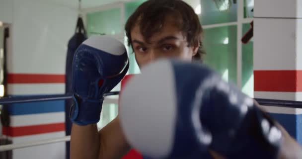 Портрет Разминающегося Боксера Смешанной Расы Смотрящего Вперед Бьющего Камеру Боксёрском — стоковое видео