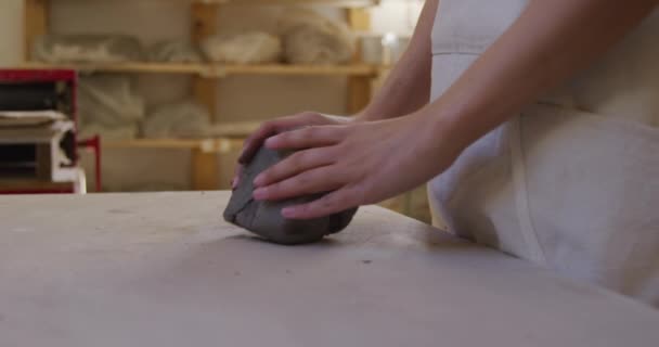 Side View Mid Section Young Caucasian Female Potter Standing Work — 비디오