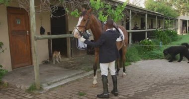 Zeki giyimli Afro-Amerikan bir adamın ata binmeden bir blok önce ahırın önünde, arka planda evcil köpekler olan bir kestane atının eyerini hazırlarken yan görüntüsü.