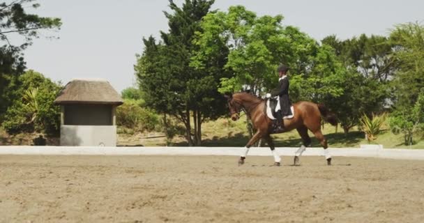 Side View Smartly Dressed Caucasian Woman Riding Bay Horse Paddock — Stock Video