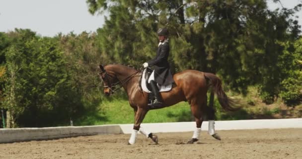 Vista Lateral Uma Mulher Caucasiana Vestida Forma Inteligente Montando Cavalo — Vídeo de Stock