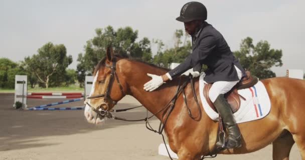 Vue latérale d'un homme afro-américain habillé intelligemment portant un chapeau d'équitation chevauchant un cheval de dressage châtain dans un enclos et caressant son cou, au ralenti 