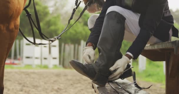 服を着たアフリカ系アメリカ人の男がベンチに座っている姿を間近に眺めながら 馬場馬術馬に乗ったり 栗の馬が立って横で待っている姿 スローモーション — ストック動画