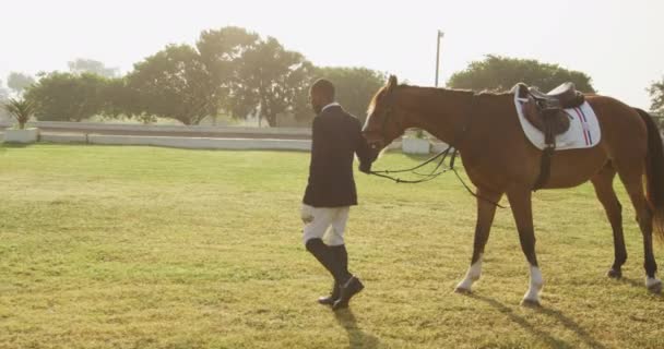 手綱によってパドックを渡って彼の馬場馬術馬をリードし スローモーション — ストック動画