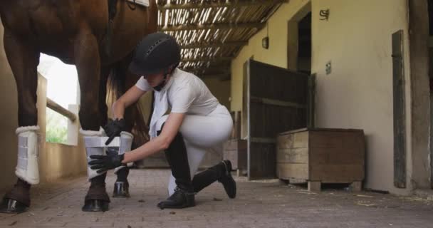 Side View Caucasian Woman Kneeling Preparing Dressage Horse Stable Riding — 비디오