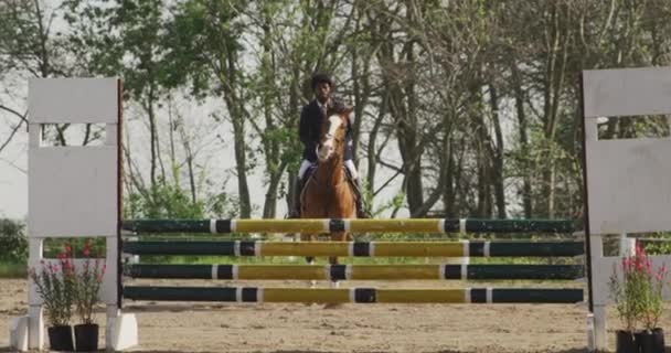 Вид Спереди Ловко Одетого Афроамериканца Скачущего Каштановой Лошади Соревнованиях Конкуру — стоковое видео