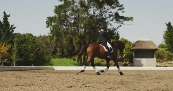 Vue latérale d'une femme caucasienne habillée intelligemment chevauchant un cheval de baie dans un enclos lors d'une compétition de dressage, au ralenti 