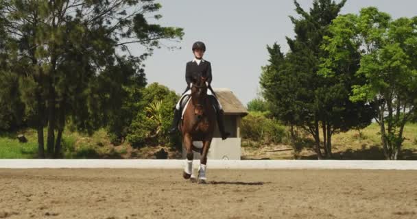 Front View Smartly Dressed Caucasian Woman Riding Bay Horse Paddock — ストック動画