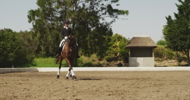 Front View Smartly Dressed Caucasian Woman Riding Bay Dressage Horse — 图库视频影像