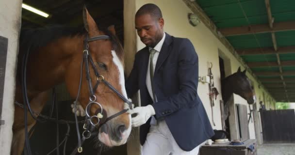 Vista Laterale Uomo Afroamericano Elegantemente Vestito Che Mette Briglia Cavallo — Video Stock