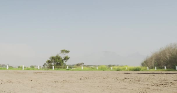 Vista Laterale Basso Angolo Uomo Afroamericano Elegantemente Vestito Sella Cavallo — Video Stock