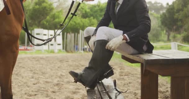 Binmeye Gitmeden Önce Sandalyede Oturan Kestane Rengi Atı Yanında Duran — Stok video