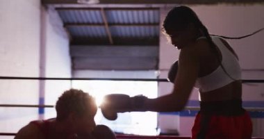 Side view close up of two mixed race female boxers, one with short curly hair and one with long, dark plaited hair, boxing in a boxing ring at a boxing gym, backlit, slow motion