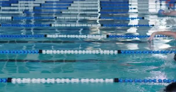 Seitenansicht Der Multiethnischen Gruppe Männlicher Schwimmer Schwimmbad Die Sich Gegenseitig — Stockvideo