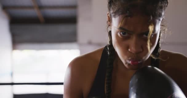 Retrato Perto Uma Mulher Boxeadora Raça Mista Com Cabelos Longos — Vídeo de Stock