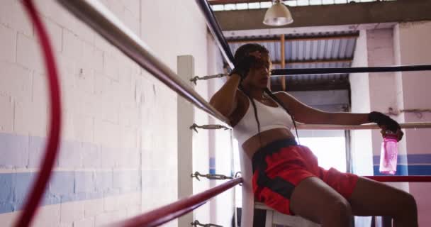 ボクシングジムでボクシングショートパンツを着用し 水のボトルを保持し トレーニング後に回復ボクシングリングの隅に座って 遅い動き — ストック動画