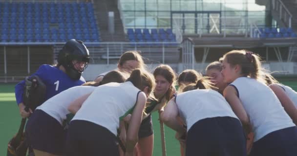 Rückansicht Einer Kaukasischen Eishockeymannschaft Teenageralter Einem Gedränge Auf Dem Spielfeld — Stockvideo