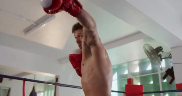 Vista Frontal Boxeador Caucásico Que Calienta Gimnasio Boxeo Cámara Lenta — Vídeo de stock