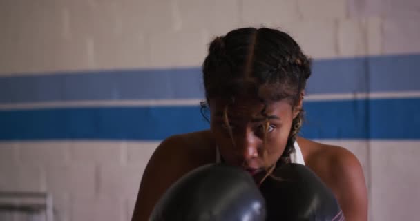 Porträtt Närbild Blandad Ras Kvinnliga Boxare Med Långa Mörka Flätade — Stockvideo