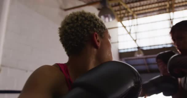 Visão Lateral Perto Uma Boxeadora Feminina Raça Mista Com Cabelos — Vídeo de Stock