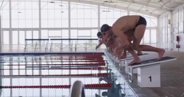 Vista Lateral Grupo Multiétnico Nadadores Masculinos Piscina Saltando Desde Bloques — Vídeo de stock