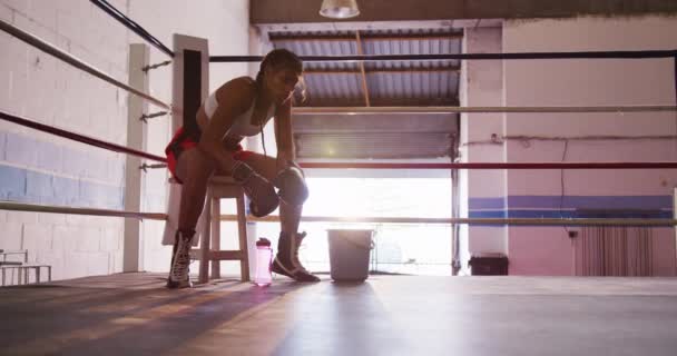一位身披拳击短裤 头戴拳击手套 一头乌黑的长发的混合型女拳击手坐在拳击台边角上 身体前倾 训练后恢复 动作缓慢 — 图库视频影像