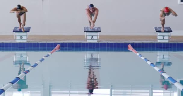 Vista Frontal Grupo Multiétnico Nadadores Masculinos Piscina Saltando Desde Bloques — Vídeos de Stock