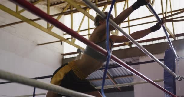 Vista Lateral Uma Boxeadora Feminina Raça Mista Com Cabelo Encaracolado — Vídeo de Stock