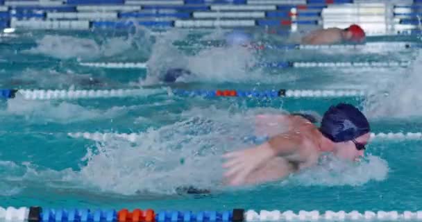 Side View Multi Ethnic Group Male Swimmers Swimming Pool Racing — Stockvideo