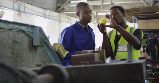Zijaanzicht Van Twee Afro Amerikaanse Mannen Die Een Fabriek Cricketballen — Stockvideo