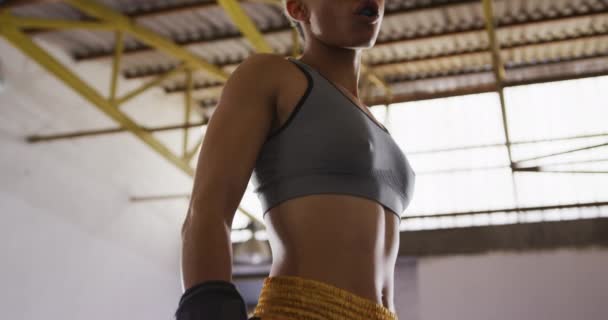 Retrato Uma Mulher Boxeadora Raça Mista Com Cabelo Encaracolado Curto — Vídeo de Stock