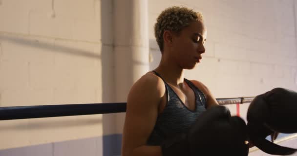 Side View Mixed Race Female Boxer Short Curly Hair Boxing — 비디오