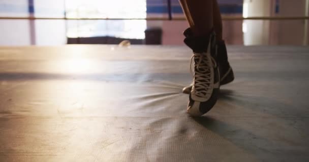 ボクシングジムでボクシングリングのトレーニング中に移動する女性ボクサーの足の低セクション スローモーション — ストック動画