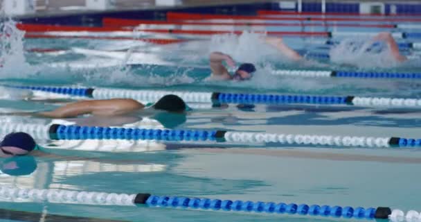 Vista Lateral Grupo Multiétnico Nadadores Masculinos Piscina Compitiendo Entre Carriles — Vídeos de Stock