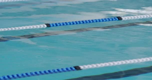 Vista Lateral Del Grupo Multiétnico Nadadores Masculinos Piscina Compitiendo Entre — Vídeo de stock