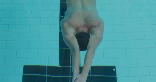 白种人男子游泳运动员在游泳池的高角镜前 在小径上赛跑 慢动作地在水下游泳 — 图库视频影像