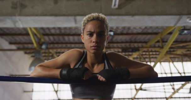 Retrato Una Boxeadora Raza Mixta Con Pelo Rizado Corto Con — Vídeos de Stock