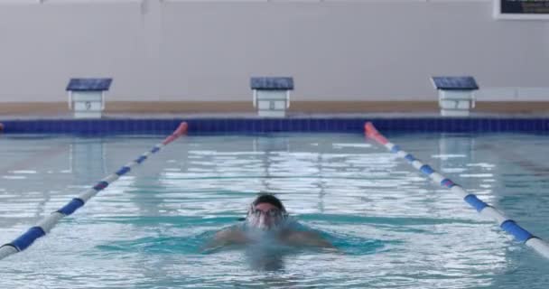 白种人男子游泳运动员站在游泳池前 慢吞吞地走出水面 胜利地举起胳膊 — 图库视频影像