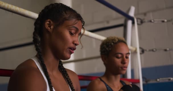 Vista Lateral Cerca Dos Boxeadoras Femeninas Raza Mixta Una Con — Vídeo de stock