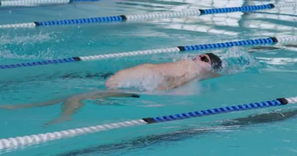 Seitenansicht Der Multiethnischen Gruppe Männlicher Schwimmer Schwimmbad Die Sich Gegenseitig — Stockvideo